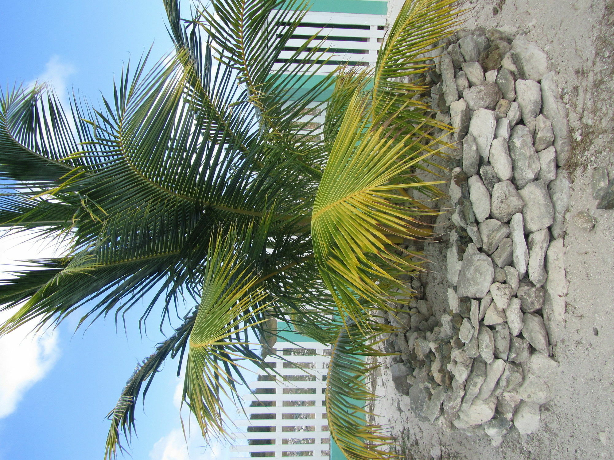 Sea Grape Villas The Settlement المظهر الخارجي الصورة