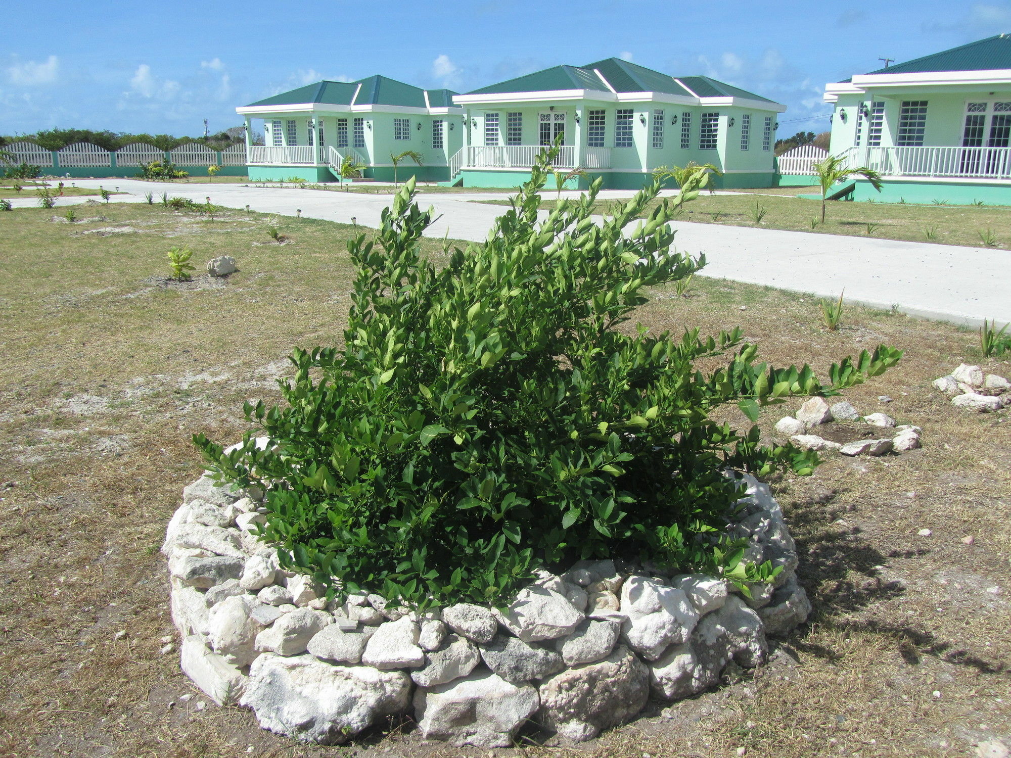 Sea Grape Villas The Settlement المظهر الخارجي الصورة